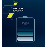 Внешний аккумулятор Canyon PB-109 10000mAh (черный)