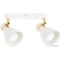 Спот Arte Lamp Fafnir A5047PL-2WH