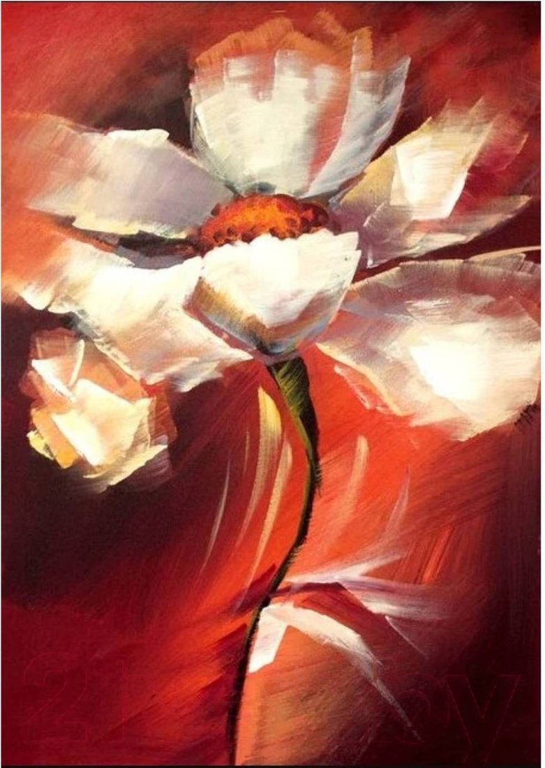 

Картина Tennonart Белые цветы 50x70 TN4970-2
