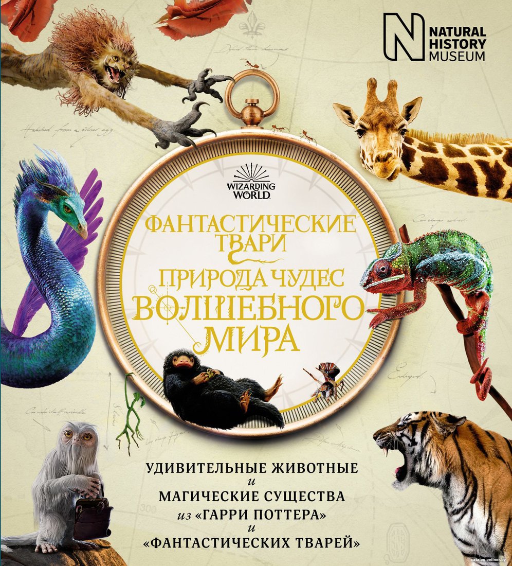 Книга издательства Махаон. Фантастические твари. Природа чудес волшебного мира (Файнс Р.)