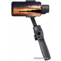 Стабилизатор Funsnap Capture 2s