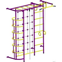 Детский спортивный комплекс Пионер С5С (пурпурный/желтый)