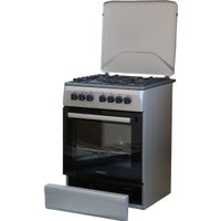 Кухонная плита Renova SG6E-W(ICTFDS)