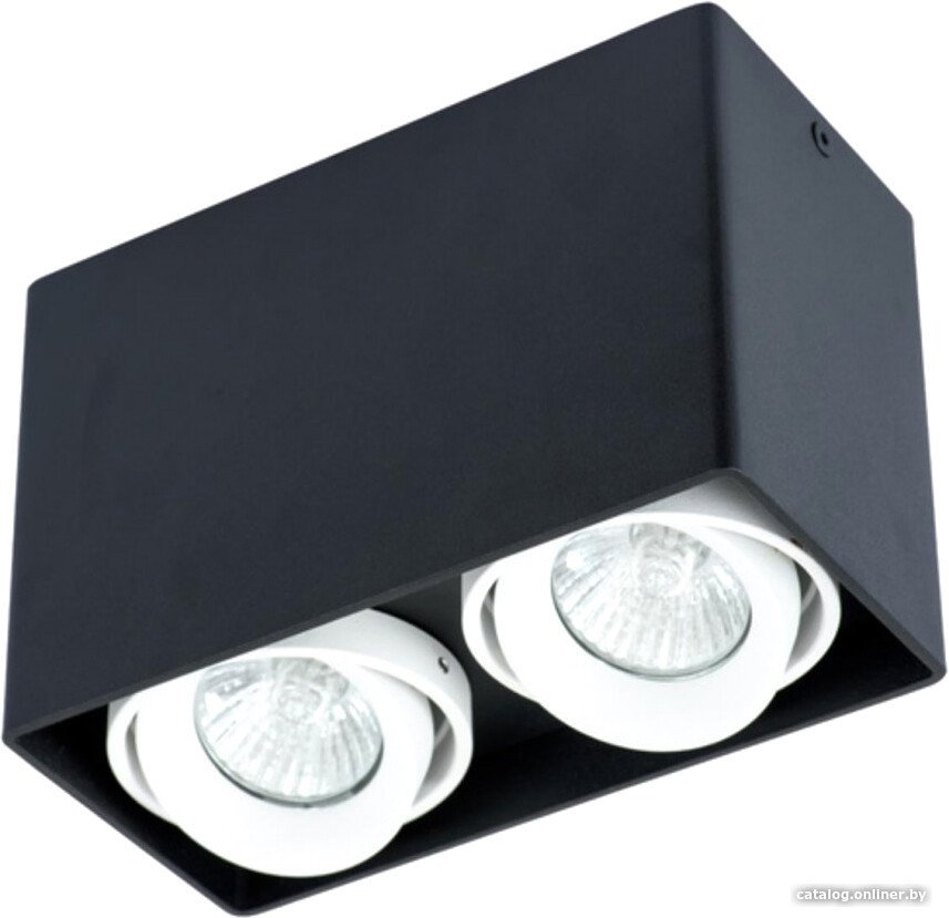 Точечный светильник Arte Lamp Pictor A5655PL-2BK