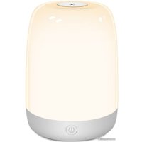 Ночник Evolution A100