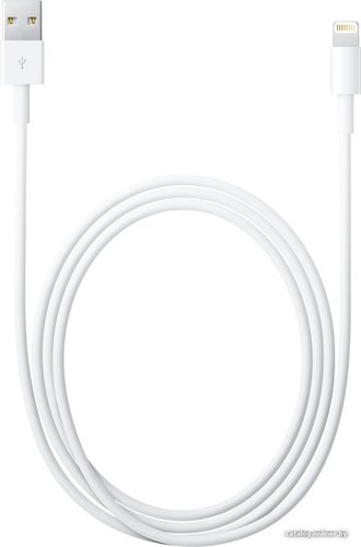 Кабель Apple USB 2.0 Type-A - Lightning (2 м, белый)