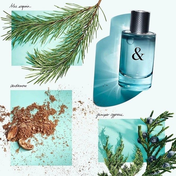 

Туалетная вода Tiffany & Co Tiffany & Love For Him EdT (90 мл)