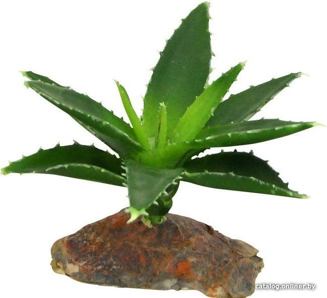 Искусственное растение Lucky Reptile Agava IF-81