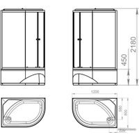 Душевая кабина Domani-Spa Delight 128 High 120x80 (правая, прозрачное стекло/черный)