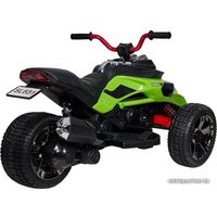 Электротрицикл Farfello Трицикл SL631 (зеленый)