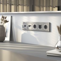 Розетка Werkel W1171065 a063612