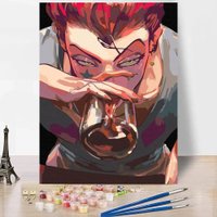 Картина по номерам Red Panda Хисока Hunter x Hunter p55233