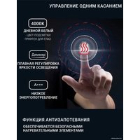 EMZE Led 50x100 LED.50.100.AF.4K (c подсветкой и антизапотеванием)