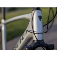 Велосипед Trek Dual Sport 3 (серебристый, 2019)