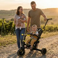 Детский велосипед Bubago Malanka BG 211-1 (черный)