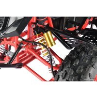 Квадроцикл White Siberia Sneg Pro R 3000W