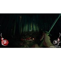  Shadow Warrior для PlayStation 4