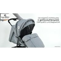 Коляска прогулочная «книга» Lorelli Daisy Basic (серый)