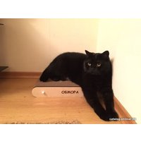 Когтеточка Чешир Мини (бежевый)