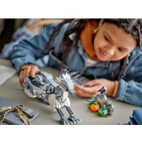 Конструктор LEGO Harry Potter 76427 Клювокрыл