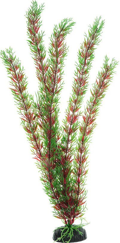 

Искусственное растение Barbus Перестолистник Plant 001/20 (красный)