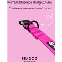 Ошейник Seadog Juicy Raspberry S