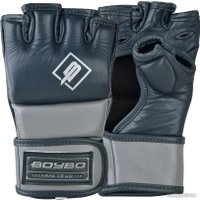 Тренировочные перчатки BoyBo Exist (L, металлик)