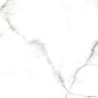 Керамогранит (плитка грес) Netto Carrara Polished 600x600