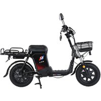 Электровелосипед Smart Balance Master Pro 50 Ah 2025 в Бресте