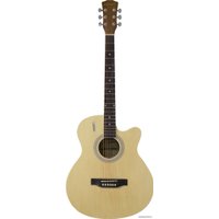 Акустическая гитара Elitaro E4020 N