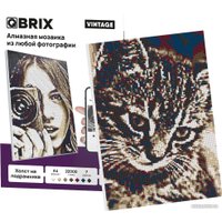 Алмазная мозаика  QBRIX Vintage 40005 в Гомеле