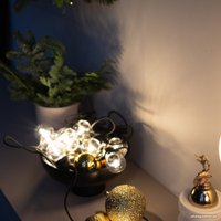 Светодиодная гирлянда Retlux RGL 115