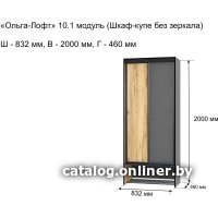 Шкаф распашной Ивару Ольга Лофт 10.1 без зеркала (дуб крафт золотой/темно-серый)