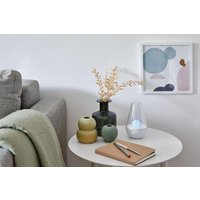 Увлажнитель воздуха Stadler Form Nina (белый)