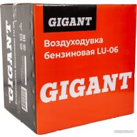 Ранцевая воздуходувка Gigant LU-06