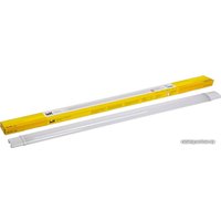 Линейный светильник IEK ДСП 1310 36Вт 4000К IP65 1230мм в Бресте