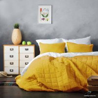 Покрывало Pasionaria Софт 160x220 с наволочками (желтый)