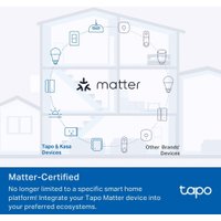 Умная розетка TP-Link Tapo P110M