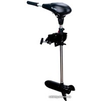 Лодочный мотор Sea-Pro VST34/66 в Могилеве