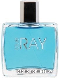 Туалетная вода Dilis Parfum Blue Ray EdT 100 мл