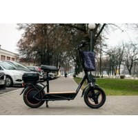 Электросамокат AVM Delta Big (черный)