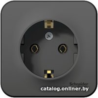 Розетка Schneider Electric Blanca BLNRA010116