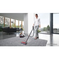 Пылесос Dyson Big Ball Multifloor 2+
