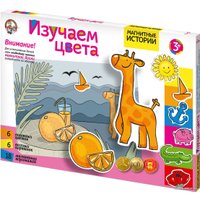 Магнитная доска Десятое королевство Изучаем цвета 01660