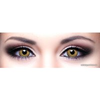 Контактные линзы Hera Classic Brown PHA220 -2.5 дптр 8.6 мм (коричневый)