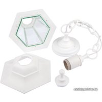 Уличный подвесной светильник ЭРА НСУ 06-60-001 Б0048110