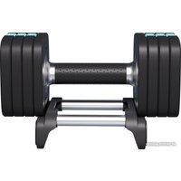 Гантель Proiron ГБ1100Р (10 кг)