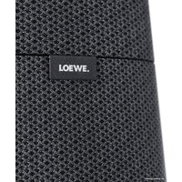 Беспроводная аудиосистема Loewe Klang MR3