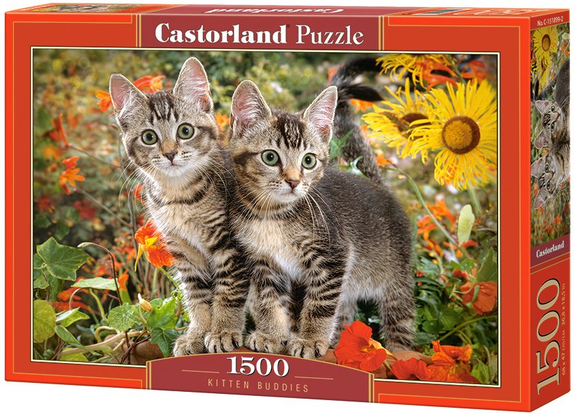 

Пазл Castorland Усатые приятели C-151899