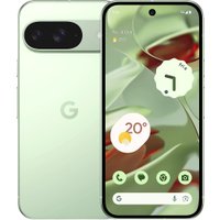 Смартфон Google Pixel 9 12GB/256GB (винтергрин)